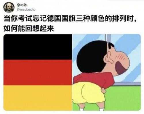 吕布专辑《义父之名》封面 囧图 女子被猫咪打到就诊