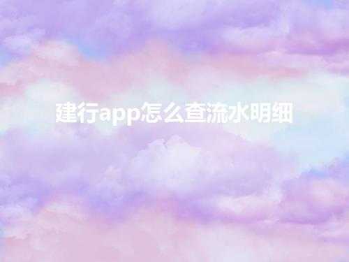 建行app怎么查流水明细(建设银行手机怎么看看银行流水)