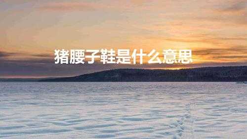 猪腰子鞋是什么意思(jk小皮鞋为什么叫猪腰子鞋)