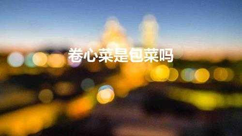 卷心菜是包菜吗(卷心菜与包菜有什么不同)