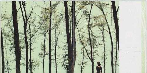 那英.2002-如今(引进版)【华纳】【WAV+CUE】