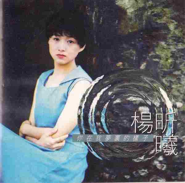 杨昕曦.1992-你在我梦里的样子【点将】【WAV+CUE】