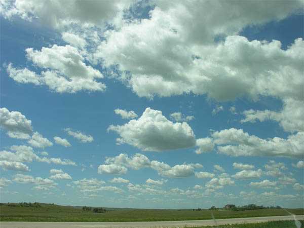 PS经典合成一个美丽女孩陶醉在草原上的场景