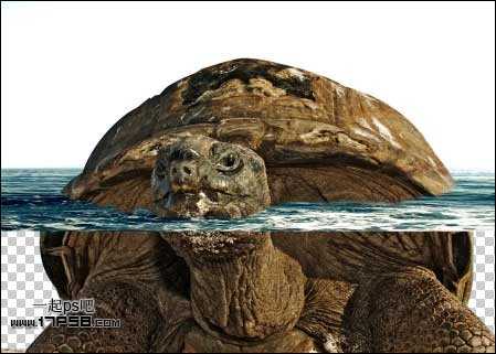 photoshop合成制作海龟岛&shy;自然场景