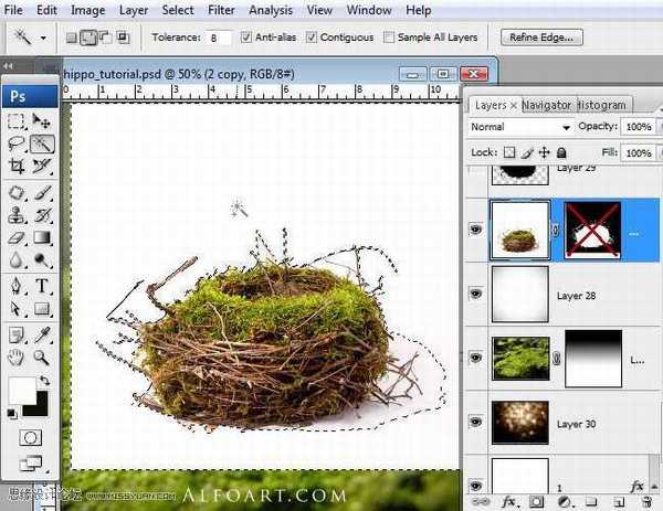 PS合成刚从鸟巢中孵化出的河马创意另类图片