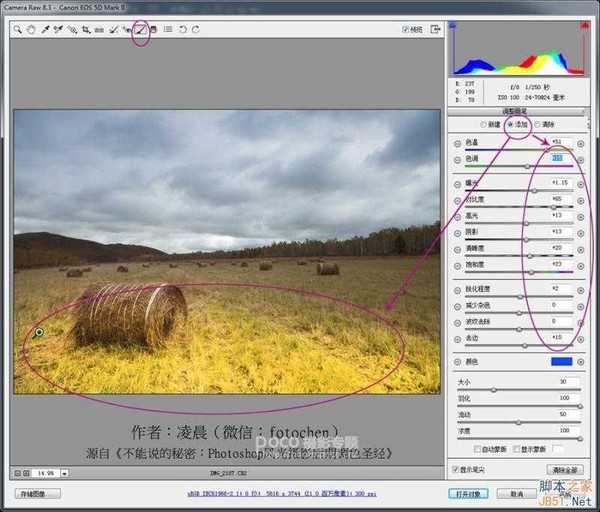 RAW格式插件 PS简单三招 阴天修出区域光影大片效果