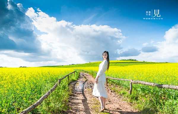 春季摄影技巧：让你的