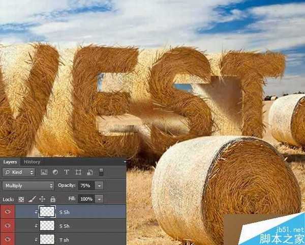 PS打造逼真的金灿灿的麦田草堆3D立体文字效果
