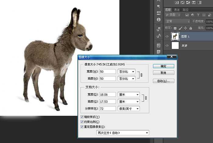 PS教程:制作有趣的放大镜扫视小毛驴图片动画效果教程