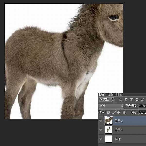 PS教程:制作有趣的放大镜扫视小毛驴图片动画效果教程