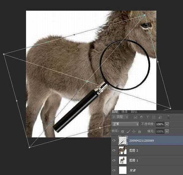 PS教程:制作有趣的放大镜扫视小毛驴图片动画效果教程