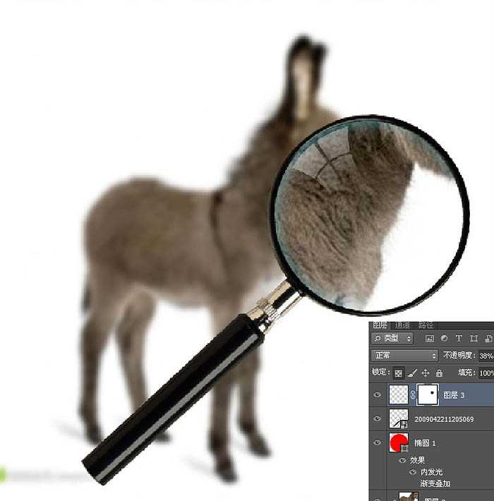 PS教程:制作有趣的放大镜扫视小毛驴图片动画效果教程