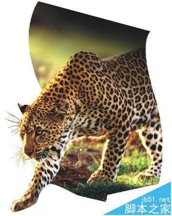 cdr X7怎么合成图片? cdr将两张照片合成立体打印机广告的教程