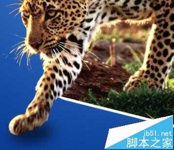 cdr X7怎么合成图片? cdr将两张照片合成立体打印机广告的教程