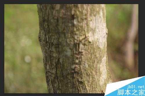 ps后期色彩平衡使用方法图解