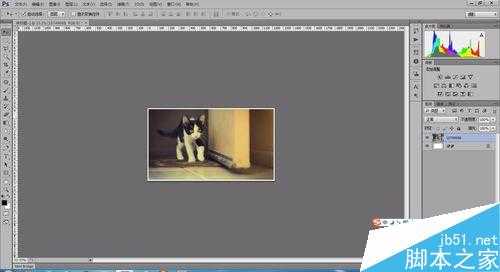 PS基础标尺、旋转、裁剪使用方法图解