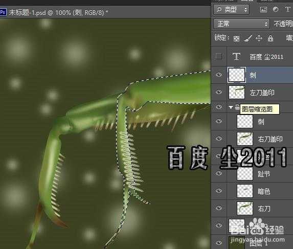 PS怎么使用路径功能给昆虫足上画尖刺?