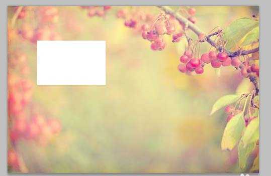 ps怎么利用矩形工具制作相册样式?