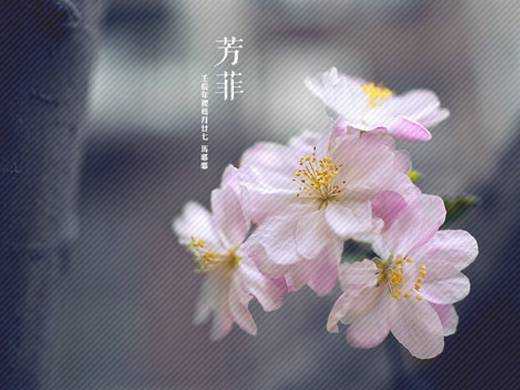 PS斜线底纹如何制作 ps快速制作斜线底纹教程