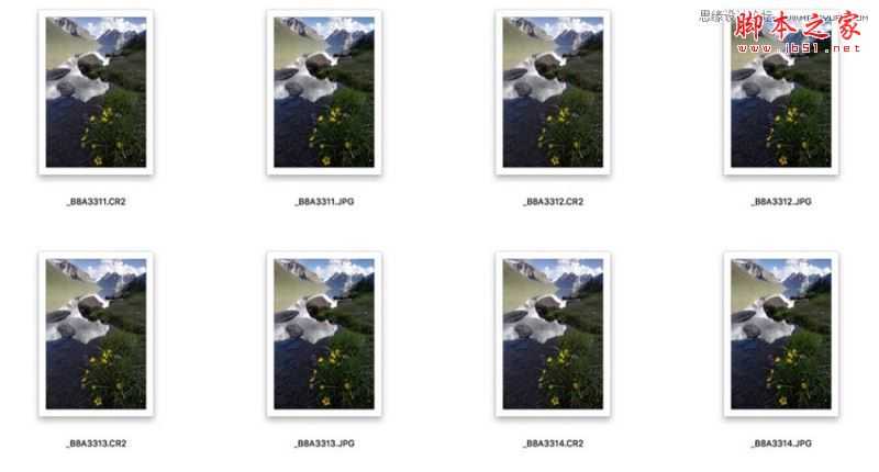 Photoshop通过合成实例解读景深合并工具使用技巧