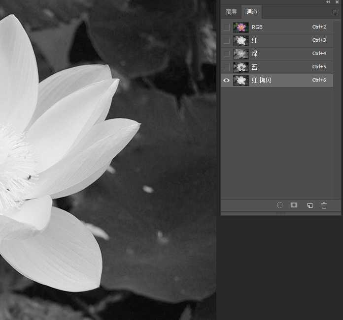 Photoshop怎么用曲线工具快速抠出池塘里的荷花？