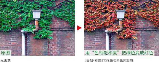 ps怎么改变爬山虎的颜色? ps给树叶调色的教程