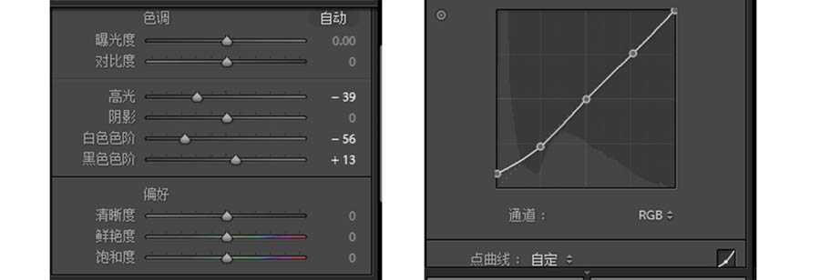 LR+PS后期调出复古风格的人像剪影主题效果