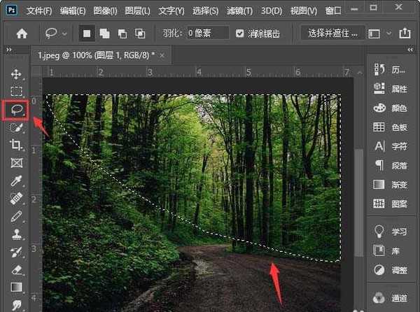 PS怎么调整图片局部亮度 ps2020调整图片局部亮度教程